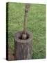 Wooden Mortar and Pestle for Grinding Corn, Chucalissa Native American Village, Memphis, Tennessee-null-Stretched Canvas