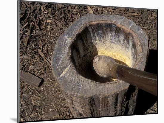 Wooden Mortar and Pestle for Grinding Maize at Mount Vernon, George Washington's Home in Virginia-null-Mounted Photographic Print