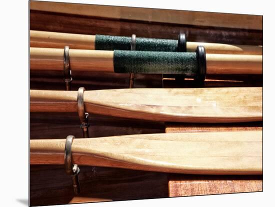 Wooden Oars-Savanah Plank-Mounted Photo