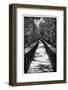 Wooden Path in the middle of a Forest in Florida-Philippe Hugonnard-Framed Photographic Print