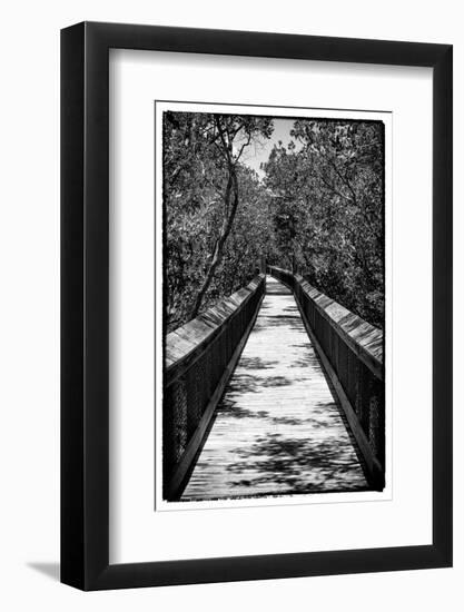 Wooden Path in the middle of a Forest in Florida-Philippe Hugonnard-Framed Photographic Print