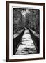 Wooden Path in the middle of a Forest in Florida-Philippe Hugonnard-Framed Photographic Print