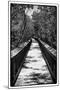 Wooden Path in the middle of a Forest in Florida-Philippe Hugonnard-Mounted Photographic Print