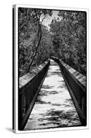 Wooden Path in the middle of a Forest in Florida-Philippe Hugonnard-Stretched Canvas
