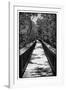 Wooden Path in the middle of a Forest in Florida-Philippe Hugonnard-Framed Photographic Print