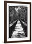 Wooden Path in the middle of a Forest in Florida-Philippe Hugonnard-Framed Photographic Print