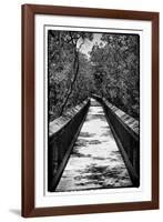 Wooden Path in the middle of a Forest in Florida-Philippe Hugonnard-Framed Photographic Print