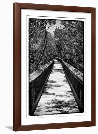 Wooden Path in the middle of a Forest in Florida-Philippe Hugonnard-Framed Photographic Print