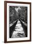 Wooden Path in the middle of a Forest in Florida-Philippe Hugonnard-Framed Photographic Print