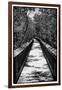 Wooden Path in the middle of a Forest in Florida-Philippe Hugonnard-Framed Photographic Print