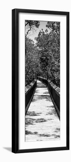 Wooden Path in the middle of a Forest in Florida-Philippe Hugonnard-Framed Photographic Print