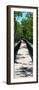 Wooden Path in the middle of a Forest in Florida-Philippe Hugonnard-Framed Photographic Print