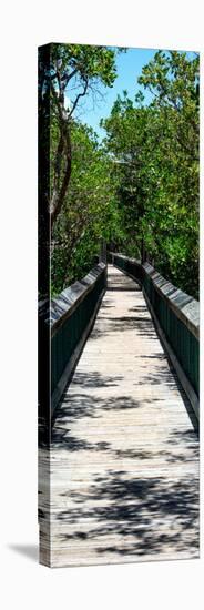 Wooden Path in the middle of a Forest in Florida-Philippe Hugonnard-Stretched Canvas