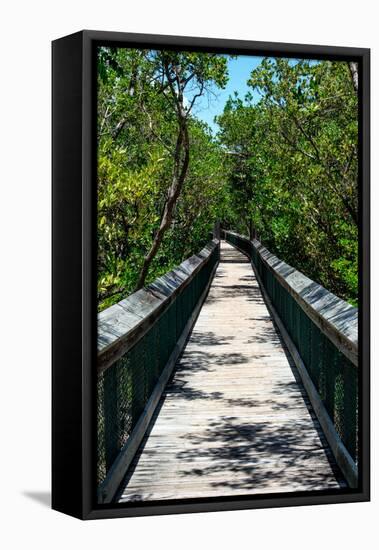 Wooden Path in the middle of a Forest in Florida-Philippe Hugonnard-Framed Stretched Canvas