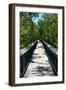 Wooden Path in the middle of a Forest in Florida-Philippe Hugonnard-Framed Photographic Print