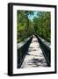 Wooden Path in the middle of a Forest in Florida-Philippe Hugonnard-Framed Photographic Print