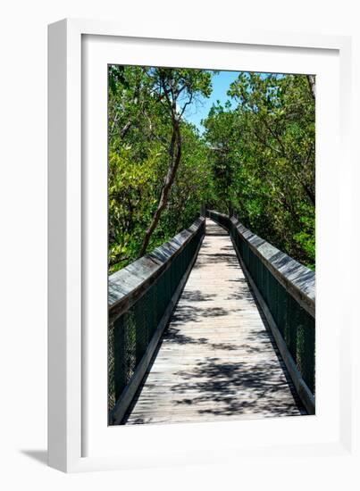 Wooden Path in the middle of a Forest in Florida-Philippe Hugonnard-Framed Photographic Print