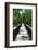 Wooden Path in the middle of a Forest in Florida-Philippe Hugonnard-Framed Photographic Print