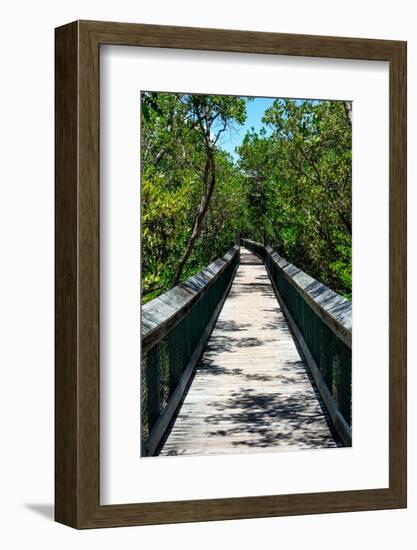 Wooden Path in the middle of a Forest in Florida-Philippe Hugonnard-Framed Photographic Print