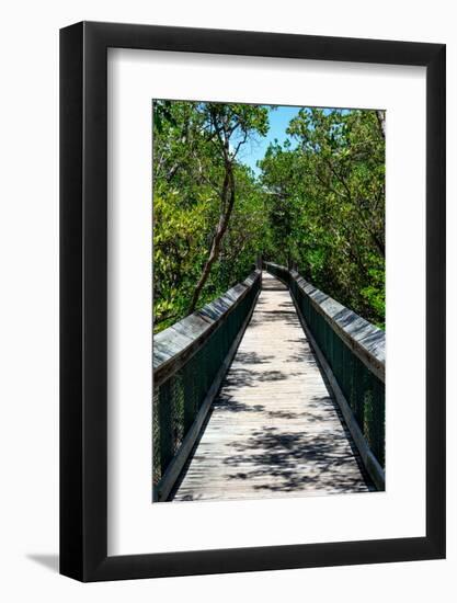 Wooden Path in the middle of a Forest in Florida-Philippe Hugonnard-Framed Photographic Print