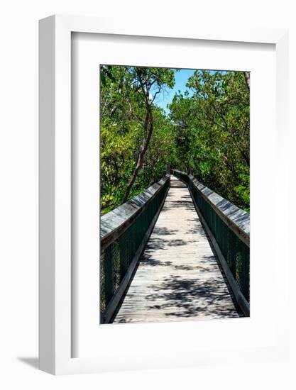 Wooden Path in the middle of a Forest in Florida-Philippe Hugonnard-Framed Photographic Print