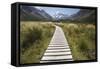 Wooden Path Through Mount Cook National Park-Paul Souders-Framed Stretched Canvas