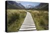 Wooden Path Through Mount Cook National Park-Paul Souders-Stretched Canvas