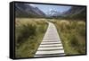 Wooden Path Through Mount Cook National Park-Paul Souders-Framed Stretched Canvas