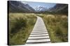 Wooden Path Through Mount Cook National Park-Paul Souders-Stretched Canvas