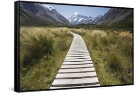 Wooden Path Through Mount Cook National Park-Paul Souders-Framed Stretched Canvas