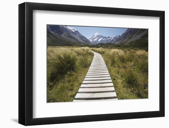 Wooden Path Through Mount Cook National Park-Paul Souders-Framed Premium Photographic Print