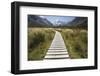 Wooden Path Through Mount Cook National Park-Paul Souders-Framed Photographic Print
