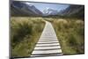 Wooden Path Through Mount Cook National Park-Paul Souders-Mounted Photographic Print