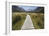 Wooden Path Through Mount Cook National Park-Paul Souders-Framed Photographic Print