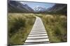 Wooden Path Through Mount Cook National Park-Paul Souders-Mounted Photographic Print