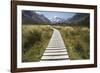 Wooden Path Through Mount Cook National Park-Paul Souders-Framed Photographic Print