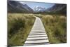 Wooden Path Through Mount Cook National Park-Paul Souders-Mounted Photographic Print