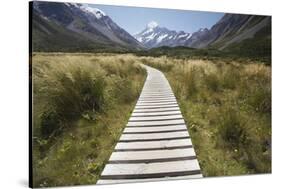 Wooden Path Through Mount Cook National Park-Paul Souders-Stretched Canvas