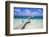 Wooden Pier, Playa El Paso, Cayo Guillermo, Jardines Del Rey, Ciego De Avila Province-Jane Sweeney-Framed Photographic Print