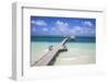 Wooden Pier, Playa El Paso, Cayo Guillermo, Jardines Del Rey, Ciego De Avila Province-Jane Sweeney-Framed Photographic Print