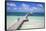 Wooden Pier, Playa El Paso, Cayo Guillermo, Jardines Del Rey, Ciego De Avila Province-Jane Sweeney-Framed Stretched Canvas