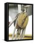 Wooden Pulley and Rope of Boat Rigging-null-Framed Stretched Canvas