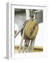 Wooden Pulley and Rope of Boat Rigging-null-Framed Photographic Print