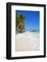 Wooden Red Jetty, Playa El Paso, Cayo Guillermo, Jardines Del Rey, Ciego De Avila Province-Jane Sweeney-Framed Photographic Print