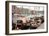 Wooden sailboats at the old boat festival in Trondheim, Trondelag-Ellen Rooney-Framed Photographic Print
