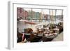 Wooden sailboats at the old boat festival in Trondheim, Trondelag-Ellen Rooney-Framed Photographic Print