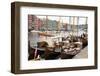 Wooden sailboats at the old boat festival in Trondheim, Trondelag-Ellen Rooney-Framed Photographic Print