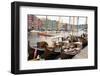 Wooden sailboats at the old boat festival in Trondheim, Trondelag-Ellen Rooney-Framed Photographic Print