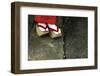 Wooden Shoes of Japanese Geisha-Mark Caunt-Framed Photographic Print