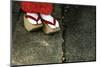 Wooden Shoes of Japanese Geisha-Mark Caunt-Mounted Photographic Print